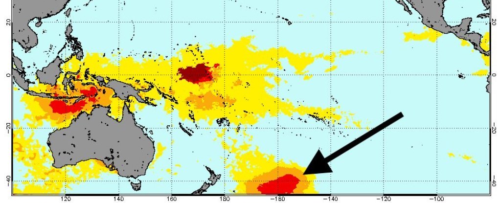 'Bong bóng nóng' ở Thái Bình Dương giết chết một triệu con chim biển trong một năm 