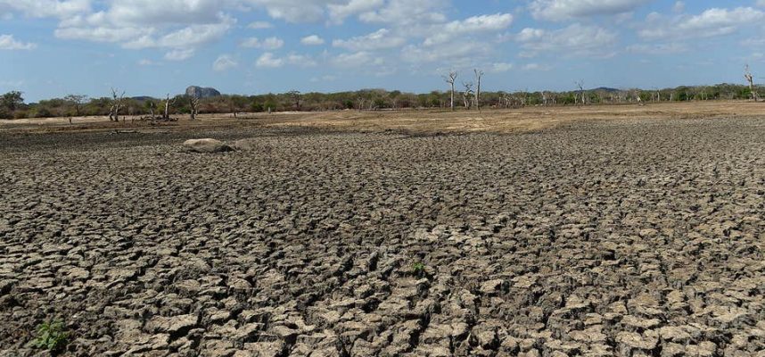 Nghiên cứu cho thấy các vùng của Bắc Mỹ có thể trở thành sa mạc 