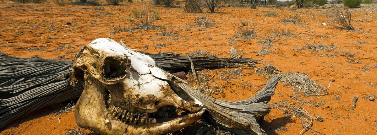 Các nhà khoa học Canada: Nhân loại sẽ chết trong vòng 700 năm 