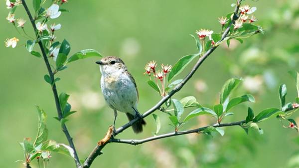 ký vào ngày 4 tháng 5 