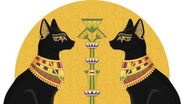 Biểu tượng mèo ở Ai Cập 